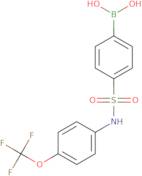 (4-{[4-(Trifluoromethoxy)phenyl]sulfamoyl}phenyl)boronic acid