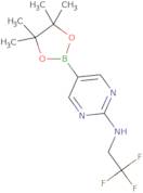 2-(2,2,2-TrifluoroethylaMino)pyriMidine-5-boronic acid, pinacol ester