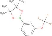 4,4,5,5-Tetramethyl-2-[3-(Trifluoromethoxy)Phenyl]-1,3,2-Dioxaborolane