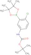 5-Boc-amino-2-chlorophenylboronic Acid Pinacol Ester