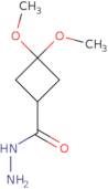 3,3-Dimethoxycyclobutane-1-carbohydrazide