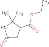 Ethyl 2,2-dimethyl-5-oxopyrrolidine-3-carboxylate