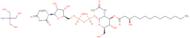 UDP-3-O[R-3-hydroxymyristoyl]-N-acetylglucosamine tris, 90%