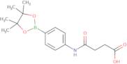 4-(Succinylamino)phenylboronic acid pinacol ester