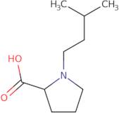 1-(3-Methylbutyl)pyrrolidine-2-carboxylic acid