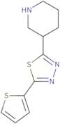 3-[5-(2-Thienyl)-1,3,4-thiadiazol-2-yl]piperidine