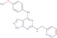 N4-(4-Methoxyphenyl)-N6-(pyridin-2-ylmethyl)-1H-pyrazolo[3,4-d]pyrimidine-4,6-diamine