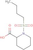 1-(Butane-1-sulfonyl)piperidine-2-carboxylic acid