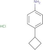 4-Cyclobutylaniline hydrochloride