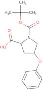 (2R,4S)-1-(tert-Butoxycarbonyl)-4-phenoxypyrrolidine-2-carboxylic acid