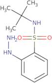 N-(tert-Butyl)-2-hydrazinylbenzenesulfonamide