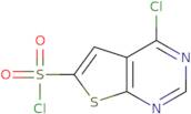 4-Chlorothieno[2,3-d]pyrimidine-6-sulfonyl chloride