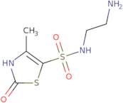 N-(2-Aminoethyl)-4-methyl-2-oxo-2,3-dihydro-1,3-thiazole-5-sulfonamide