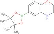 3,4-dihydro-6-(4,4,5,5-tetramethyl-1,3,2-dioxaborolan-2-yl)-2H-1,4-Benzoxazine