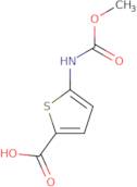 5-[(Methoxycarbonyl)amino]thiophene-2-carboxylic acid