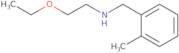 (2-Ethoxyethyl)[(2-methylphenyl)methyl]amine