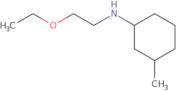 N-(2-Ethoxyethyl)-3-methylcyclohexan-1-amine