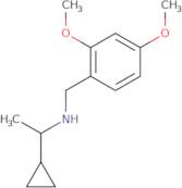 (1-Cyclopropylethyl)[(2,4-dimethoxyphenyl)methyl]amine