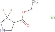 Ethyl 4,4-difluoropyrrolidine-3-carboxylate hydrochloride