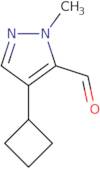 4-Cyclobutyl-1-methyl-1H-pyrazole-5-carbaldehyde