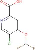 5-Chloro-4-(difluoromethoxy)pyridine-2-carboxylic acid