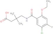 4-(5-Chloro-2-ethoxy-4-fluorobenzamido)-3,3-dimethylbutanoic acid