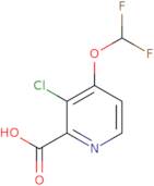 3-Chloro-4-(difluoromethoxy)pyridine-2-carboxylic acid