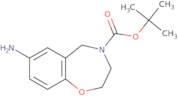 tert-Butyl 7-amino-2,3,4,5-tetrahydro-1,4-benzoxazepine-4-carboxylate