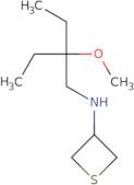 N-(2-Ethyl-2-methoxybutyl)thietan-3-amine