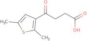 4-(2,5-Dimethylthiophen-3-yl)-4-oxobutanoic acid