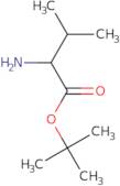 DL-valine tert-butyl ester