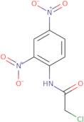 2-Chloro-N-(2,4-dinitrophenyl)acetamide