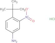 4-tert-Butyl-3-nitro-phenylamine hydrochloride