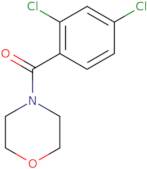 (2,4-Dichlorophenyl)-morpholin-4-ylmethanone