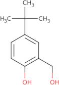 4-tert-Butyl-2-(hydroxymethyl)phenol