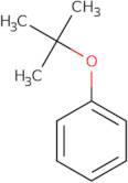 tert-Butoxybenzene