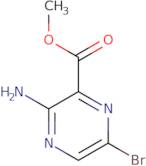 Methyl 3-amino-6-bromopyrazine-2-carboxylate