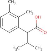 2-(2,3-Dimethylphenyl)-3-methylbutanoic acid