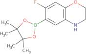 7-Fluoro-3,4-dihydro-2H-1,4-benzoxazine-6-boronic acid pinacol ester