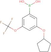 3-(Cyclopentyloxy)-5-(trifluoromethoxy)phenylboronic acid