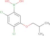 2,4-Dichloro-5-isobutoxyphenylboronic acid