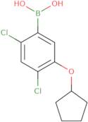 2,4-Dichloro-5-(cyclopentyloxy)phenylboronic acid