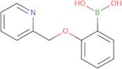 2-(Pyridin-2-ylmethoxy)phenylboronic acid