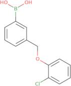 3-(2-Chlorophenoxymethyl)phenylboronic acid