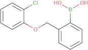 2-(2-Chlorophenoxymethyl)phenylboronic acid