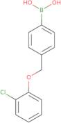 4-(2-Chlorophenoxymethyl)phenylboronic acid