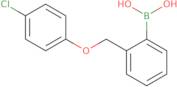 2-(4-Chlorophenoxymethyl)phenylboronic acid