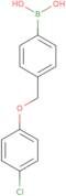 4-(4-Chlorophenoxymethyl)phenylboronic acid