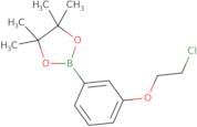 3-(2-Chloroethoxy)phenylboronic acid pinacol ester