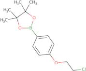 2-(4-(2-Chloroethoxy)phenyl)-4,4,5,5-tetramethyl-1,3,2-dioxaborolane